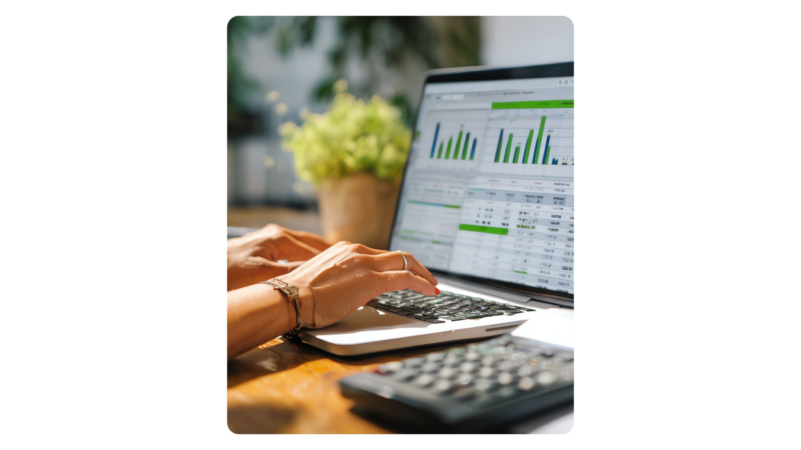 Dashboard vendite pet food